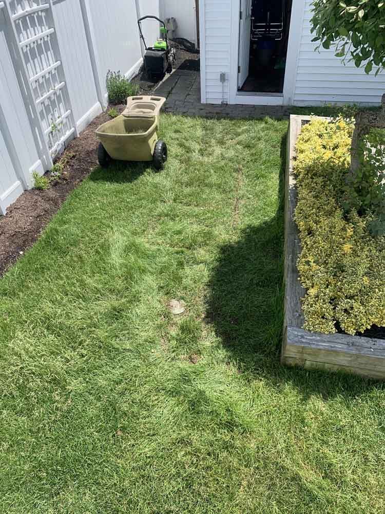 A lawn with a wheelbarrow and raised garden bed next to a white fence.