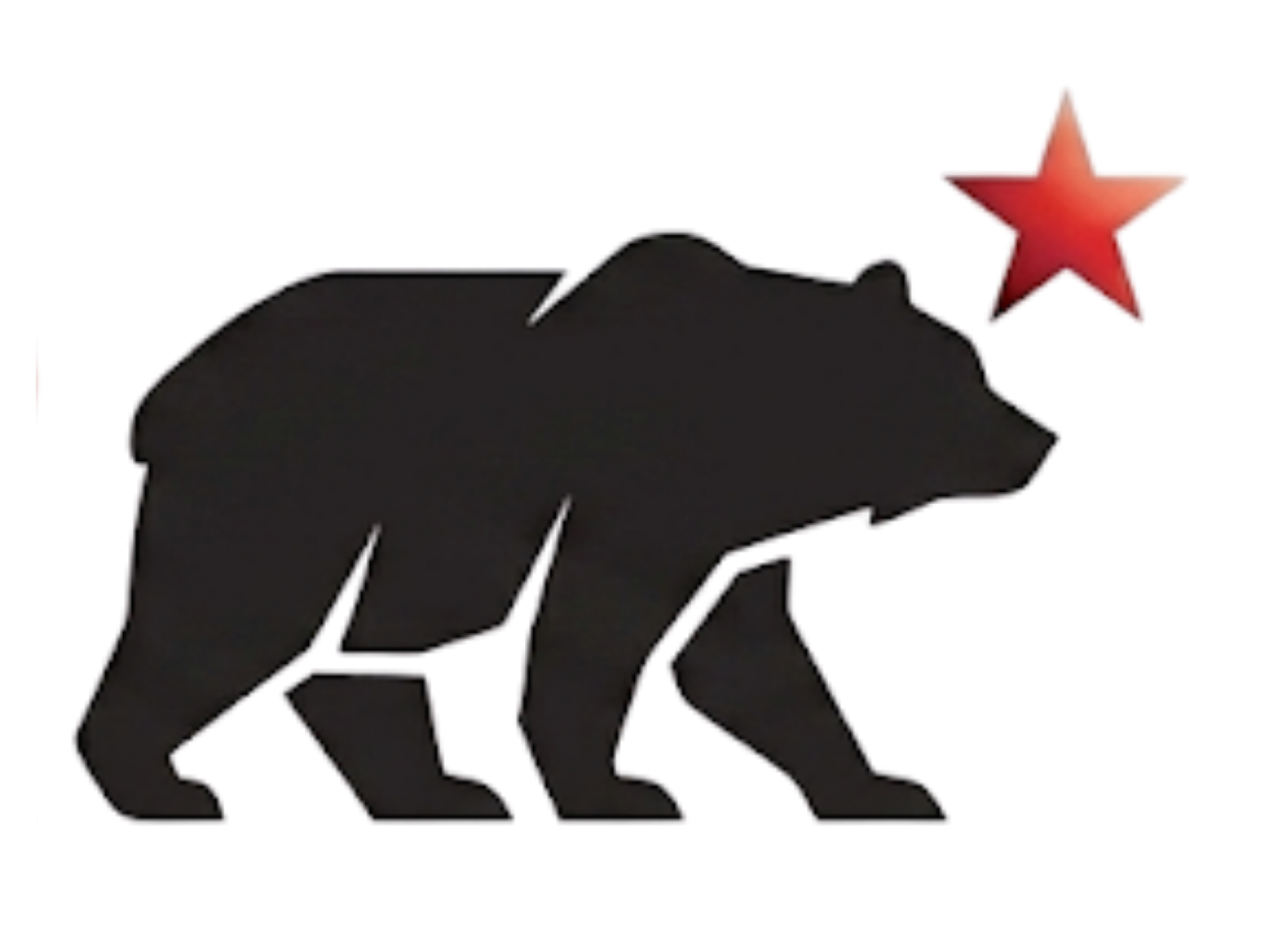 BR Bear icon