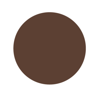 A brown circle on a white background.