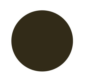 A dark brown circle on a white background.