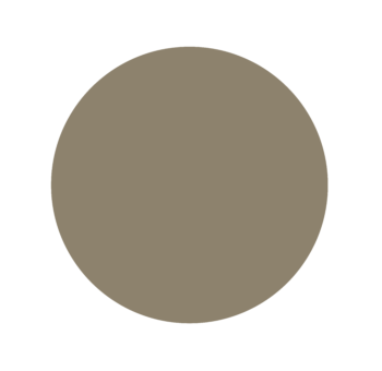 A brown circle on a white background.