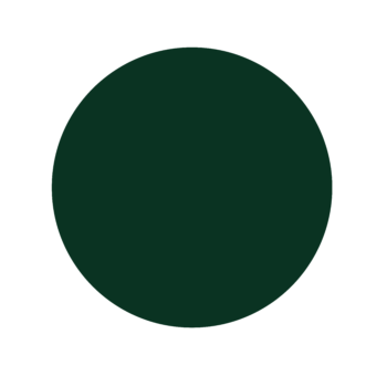 A green circle is on a white background.