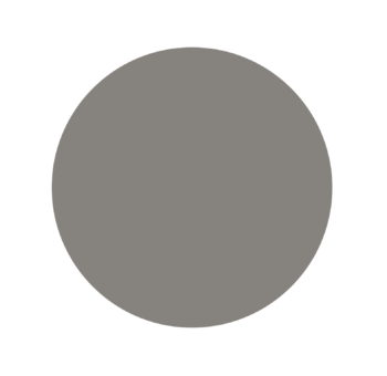 A gray circle on a white background.