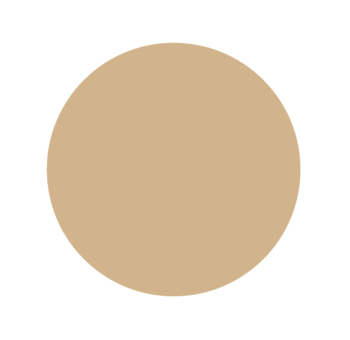 A brown circle on a white background.