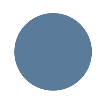 A blue circle on a white background.