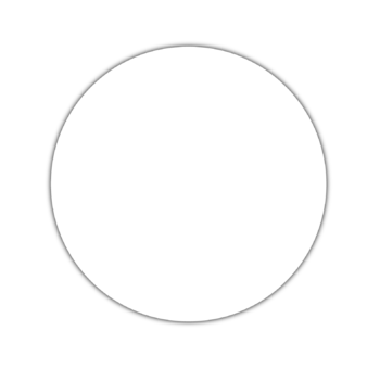 A white circle with a gray outline on a white background.