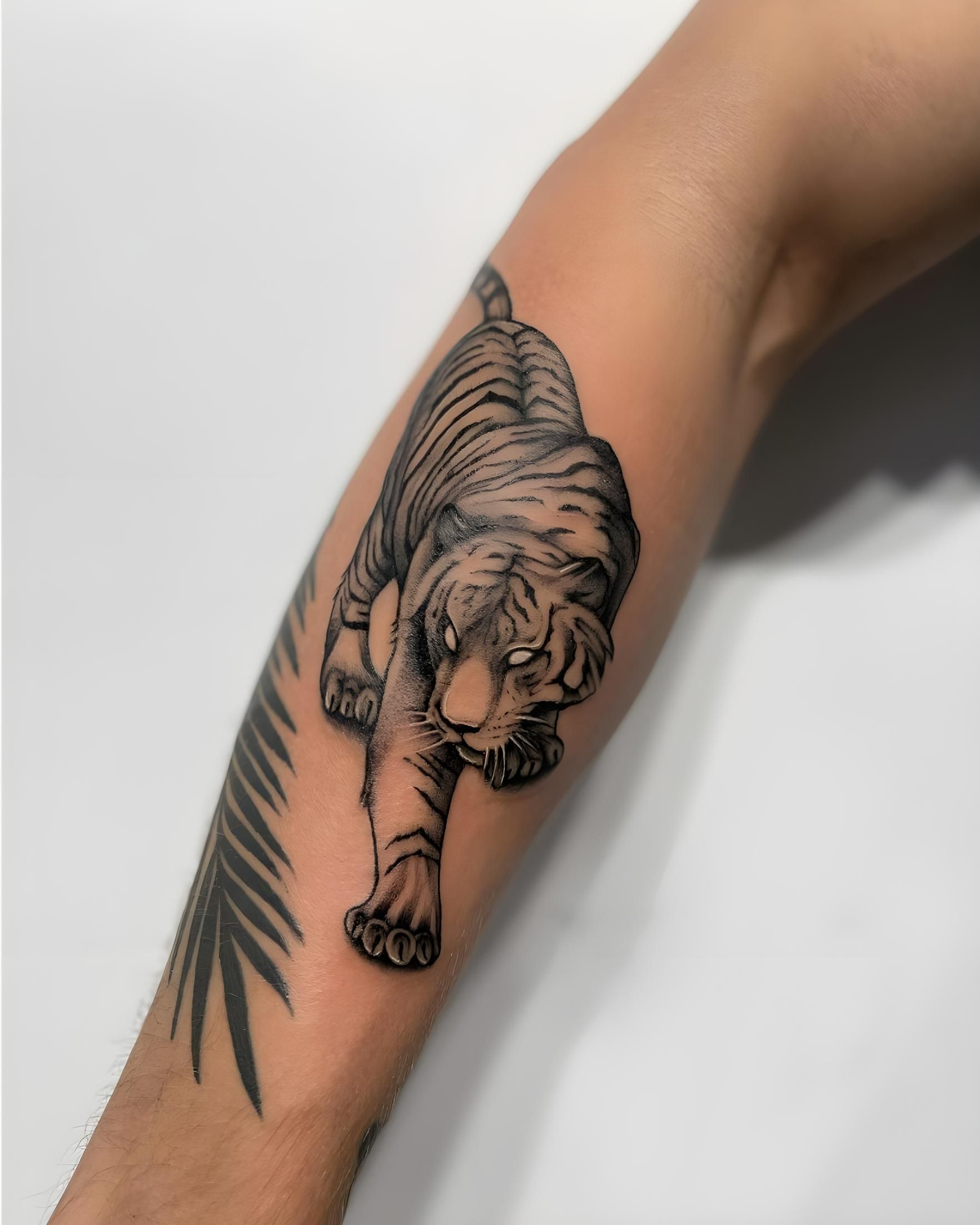 Detailed Grayscale Tattoo Of A Tiger Crawling On The Forearm — Tattoo Inc Studio In Broadbeach, QLD