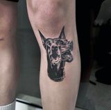 Black-and-gray Doberman tattoo on a person’s calf, shown close-up.