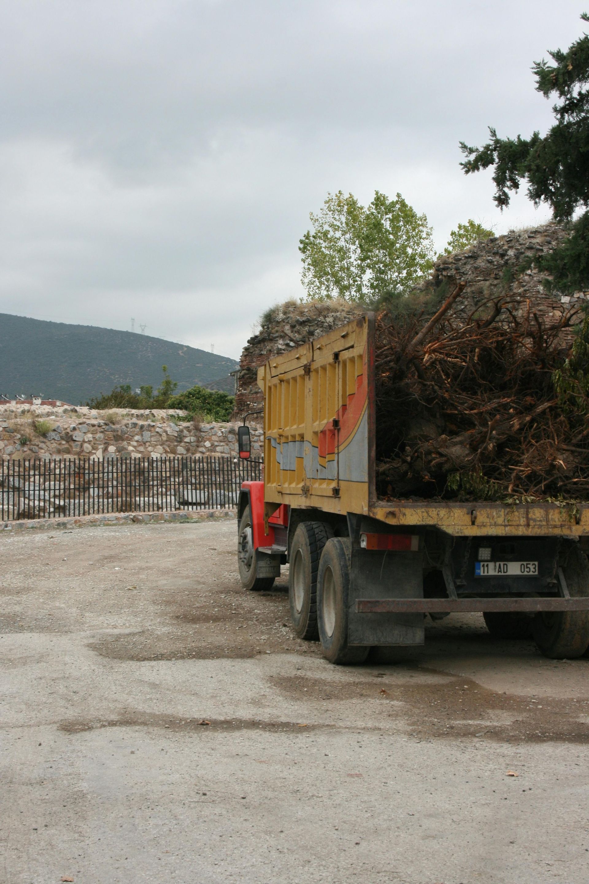 Dump truck loaded with branches at a waste facility. Gray sky, gravel ground.