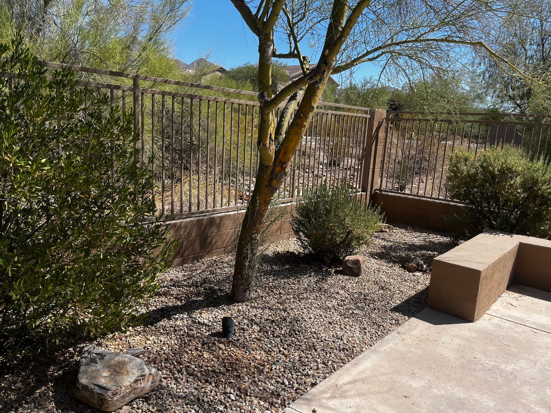 A tree and shrubs in a backyard with a metal fence, stone and concrete.