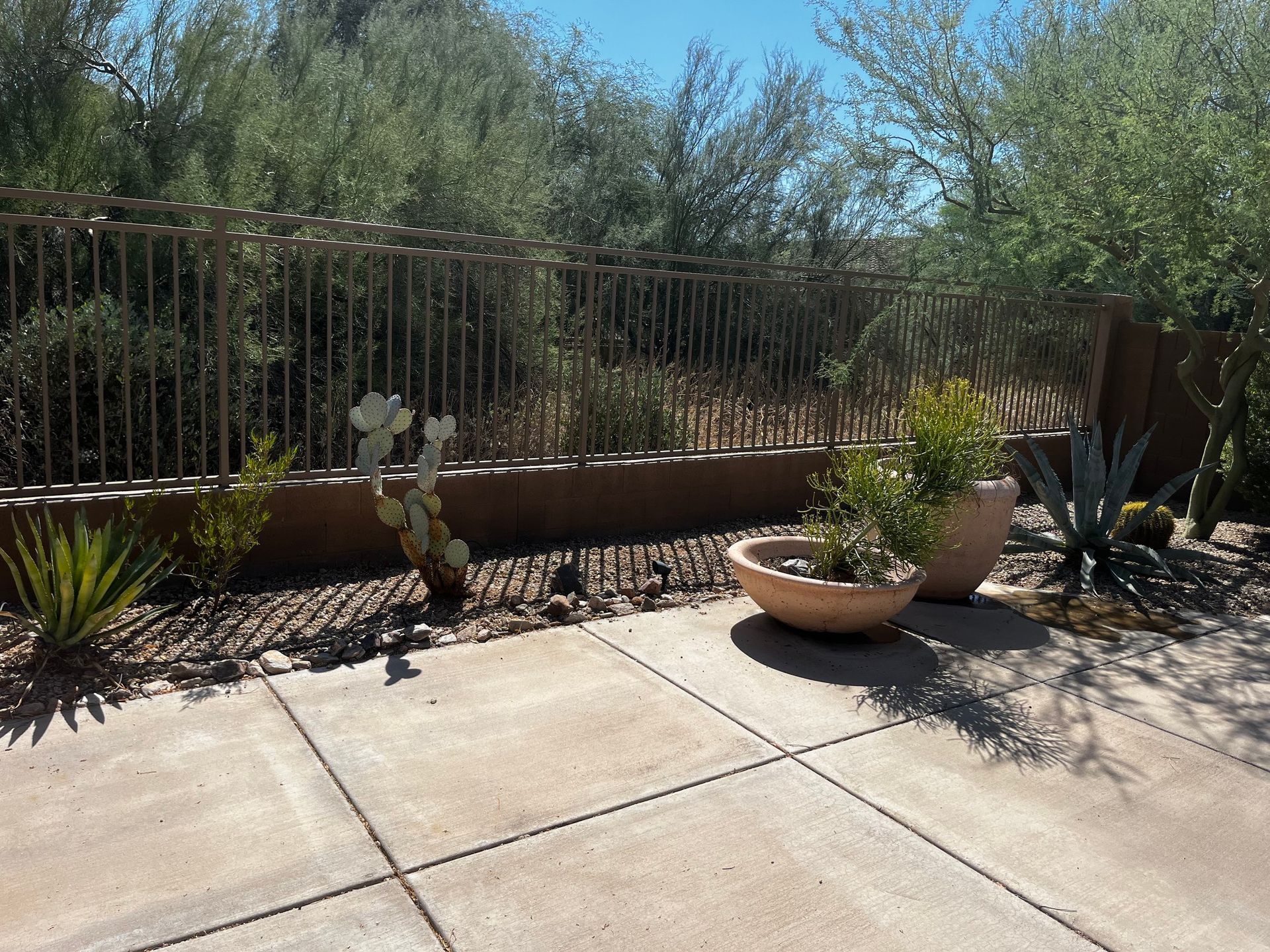 Patio with potted plants in front of a fence and desert foliage on a sunny day.