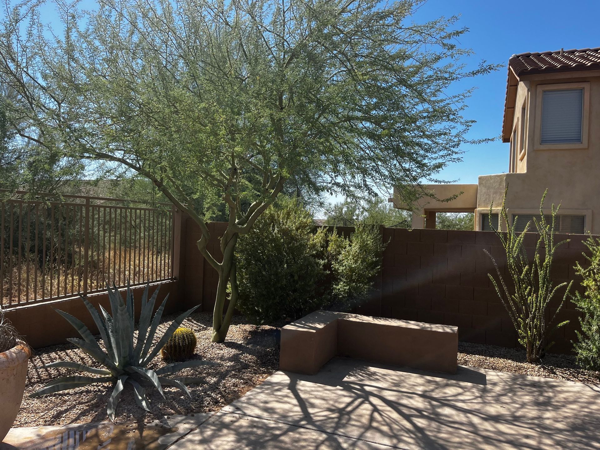 A desert landscape with a tree, plants, and a building under a blue sky.