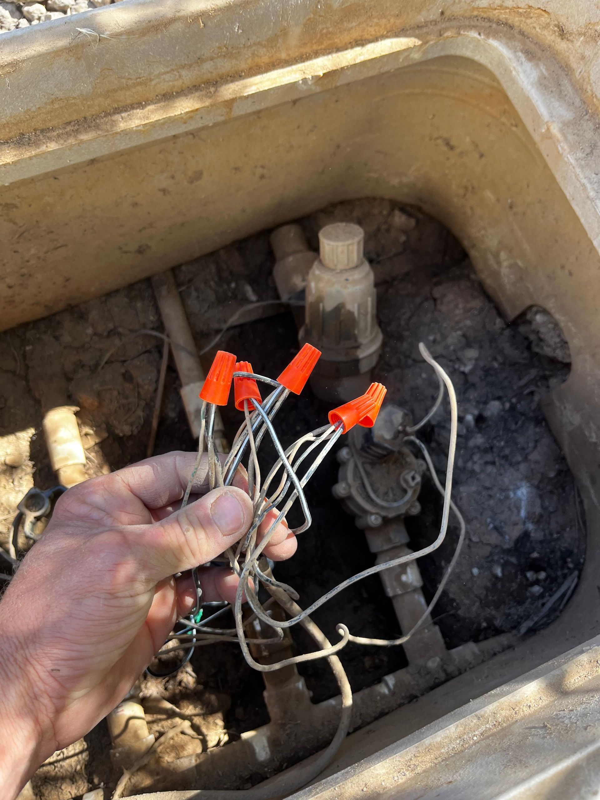 Hand holding a bundle of white wires capped with orange connectors near irrigation system valves in a box.