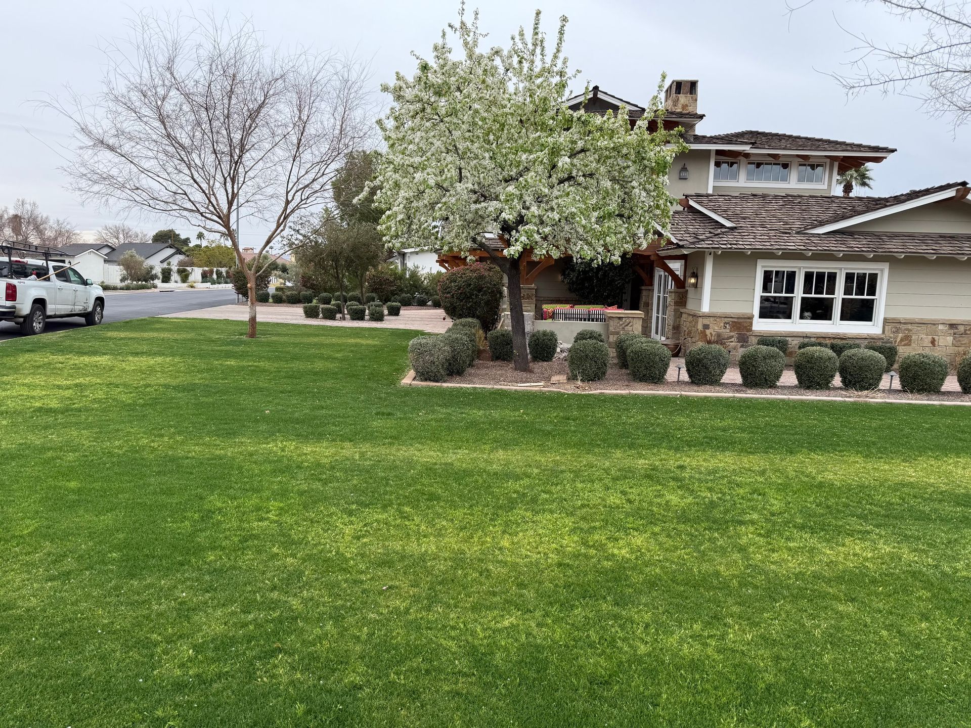 Lush green lawn in front of a house with flowering trees and round bushes. A white truck is parked on the street.