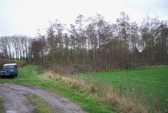 Hunkington Moat