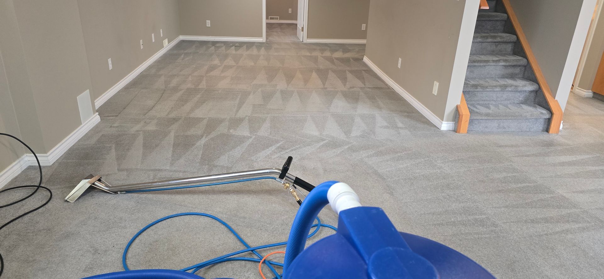 Carpet cleaning in a room with gray walls and a staircase, focus on the equipment.