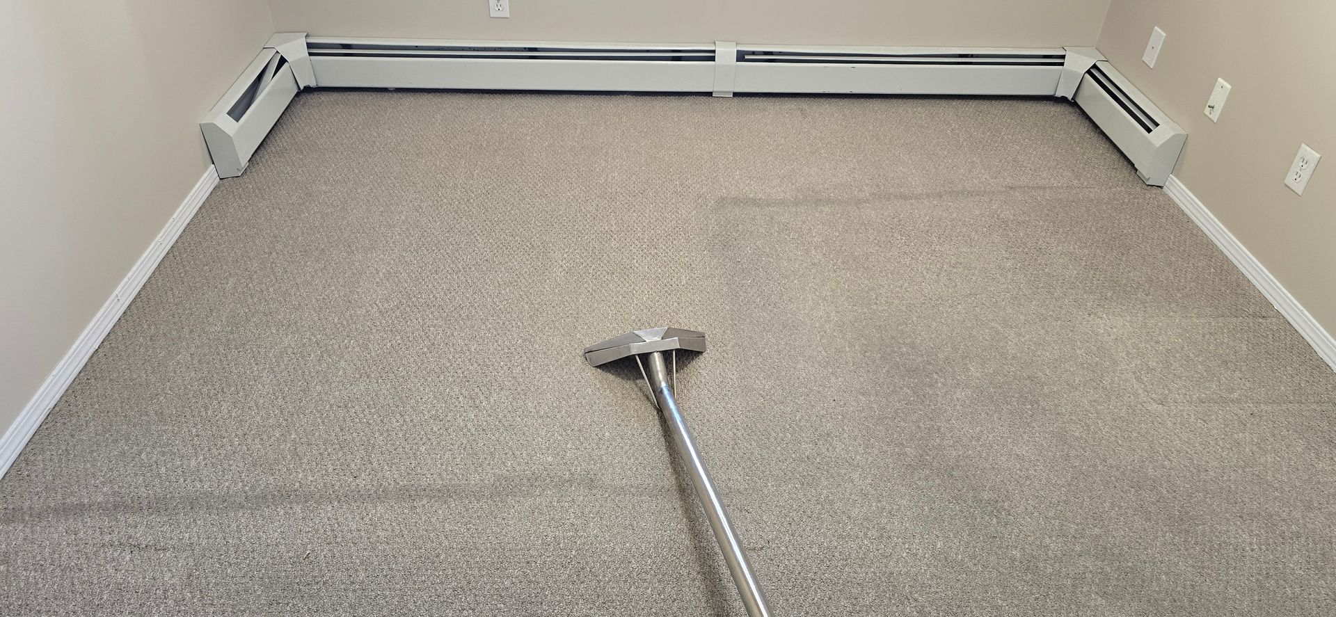 Carpet being cleaned with a machine in a room with beige walls and a white baseboard heater.
