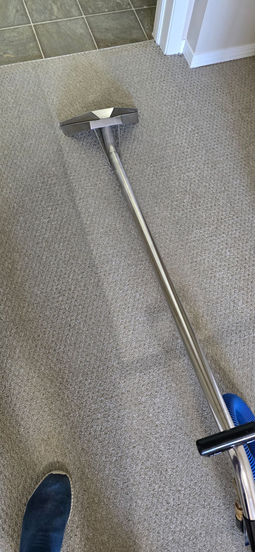 Carpet being cleaned with an upright cleaning tool, with a person's foot visible.