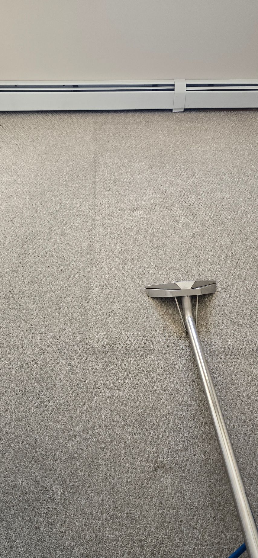 A carpet being cleaned with a machine; light gray carpet, white wall, silver heating unit.