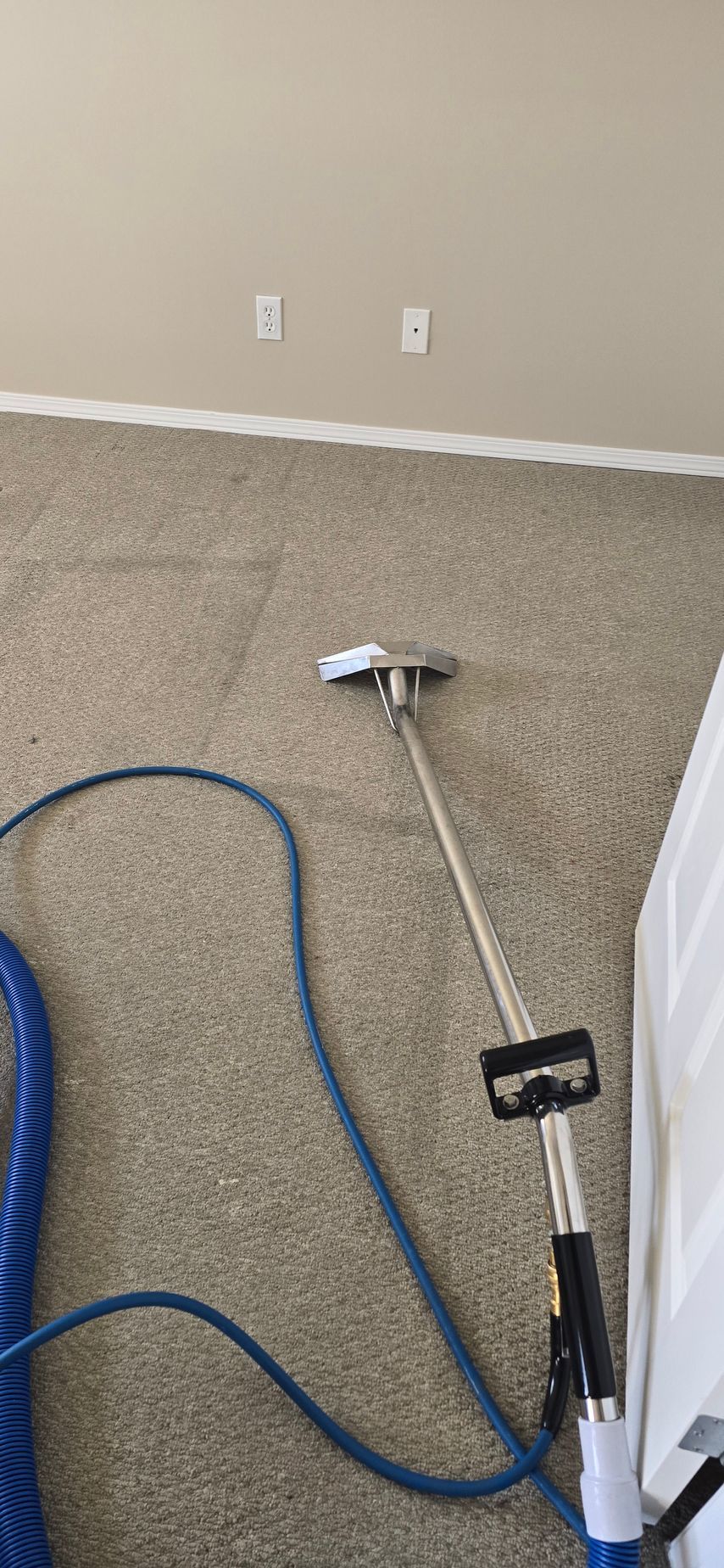 Carpet being cleaned with a professional machine. Blue hose and beige carpet. White wall with outlets.