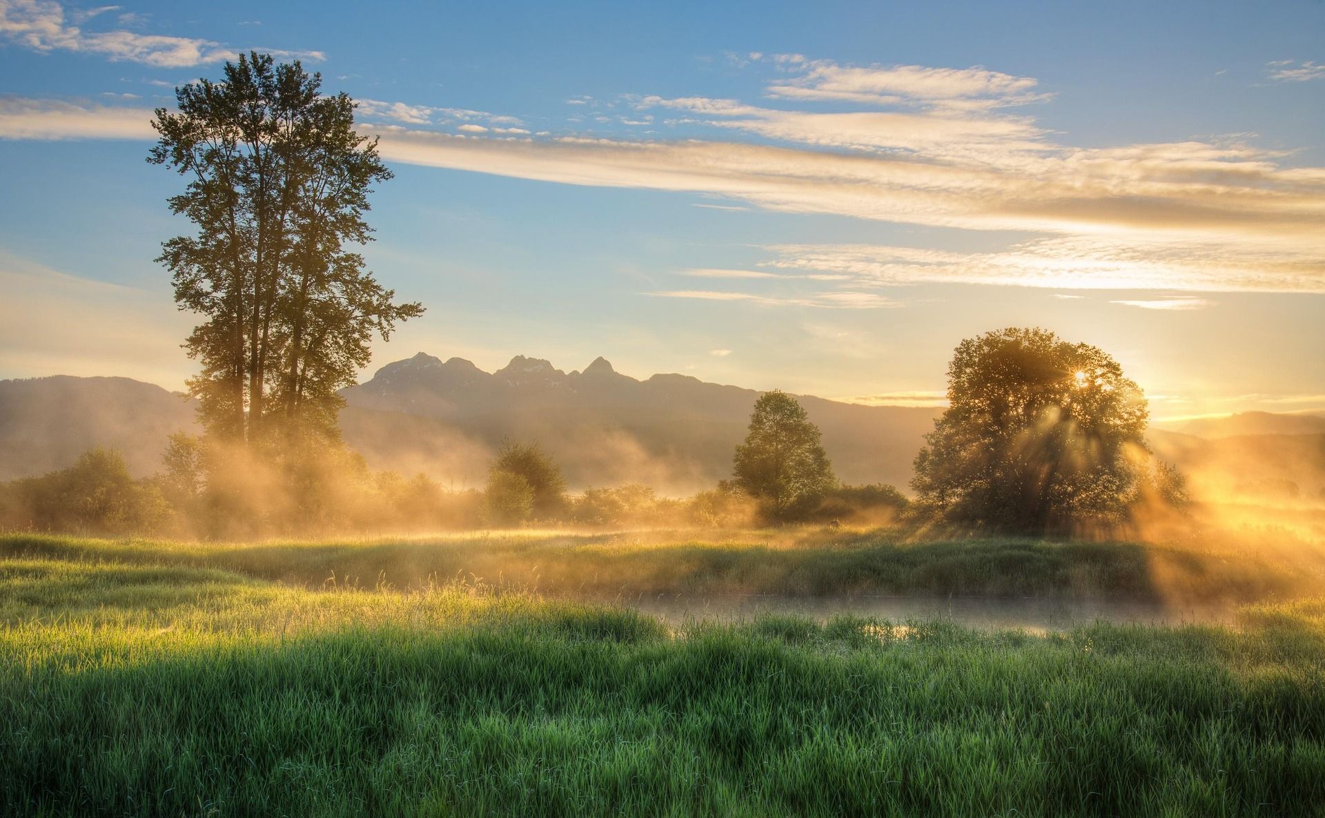 Sunrise over a misty field with tall trees; mountains in the distance and a blue sky.