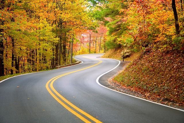 Winding road through autumn forest, vibrant yellow, orange, and red foliage.