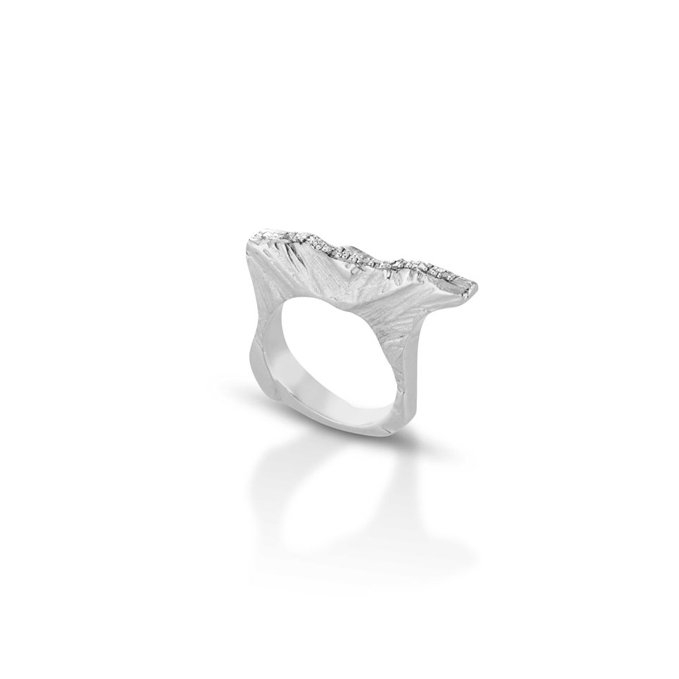 SILVER AND DIAMONDS RING