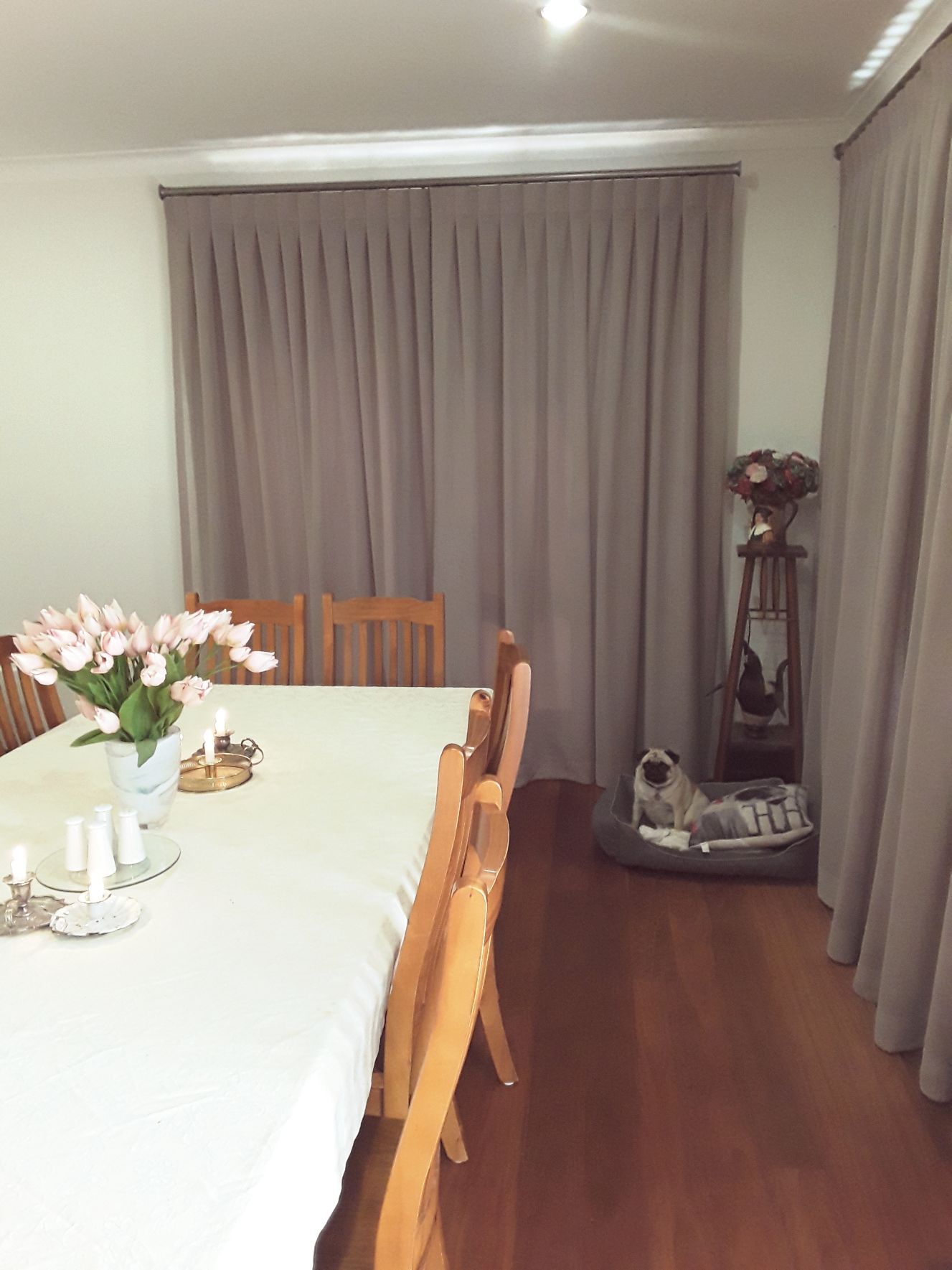 Dining area with the dog on the side - Curtains in Welby, NSW