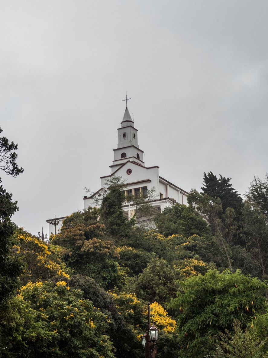A large white building is sitting on top of a hill surrounded by trees.