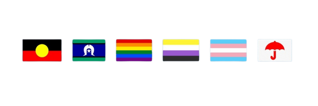 Flags representing the Aboriginal, Torres Strait Islander, LGBTQIA+, and disability communities.