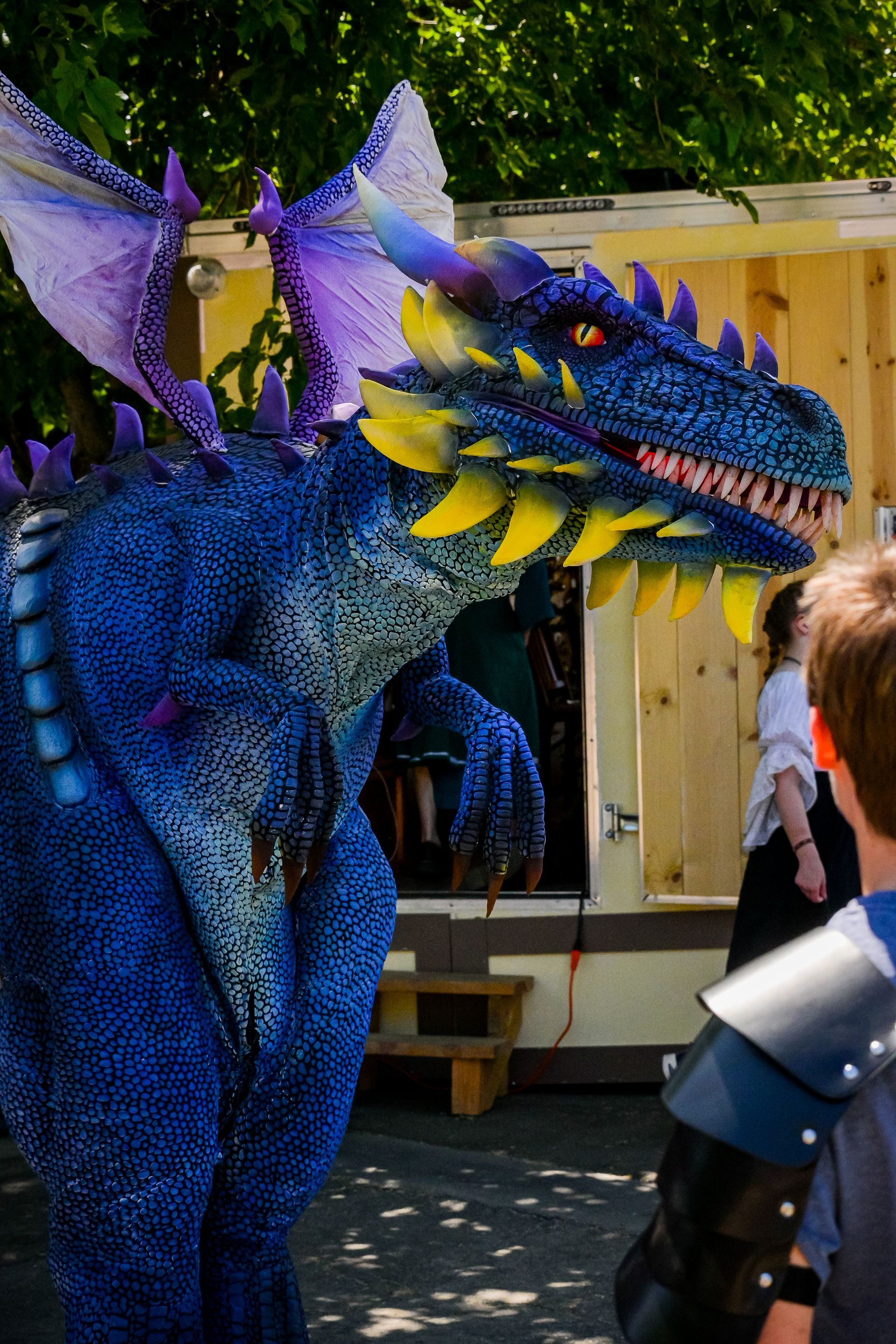 A person dressed as a blue and purple dragon