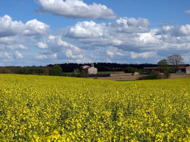 our-beautiful-countryside