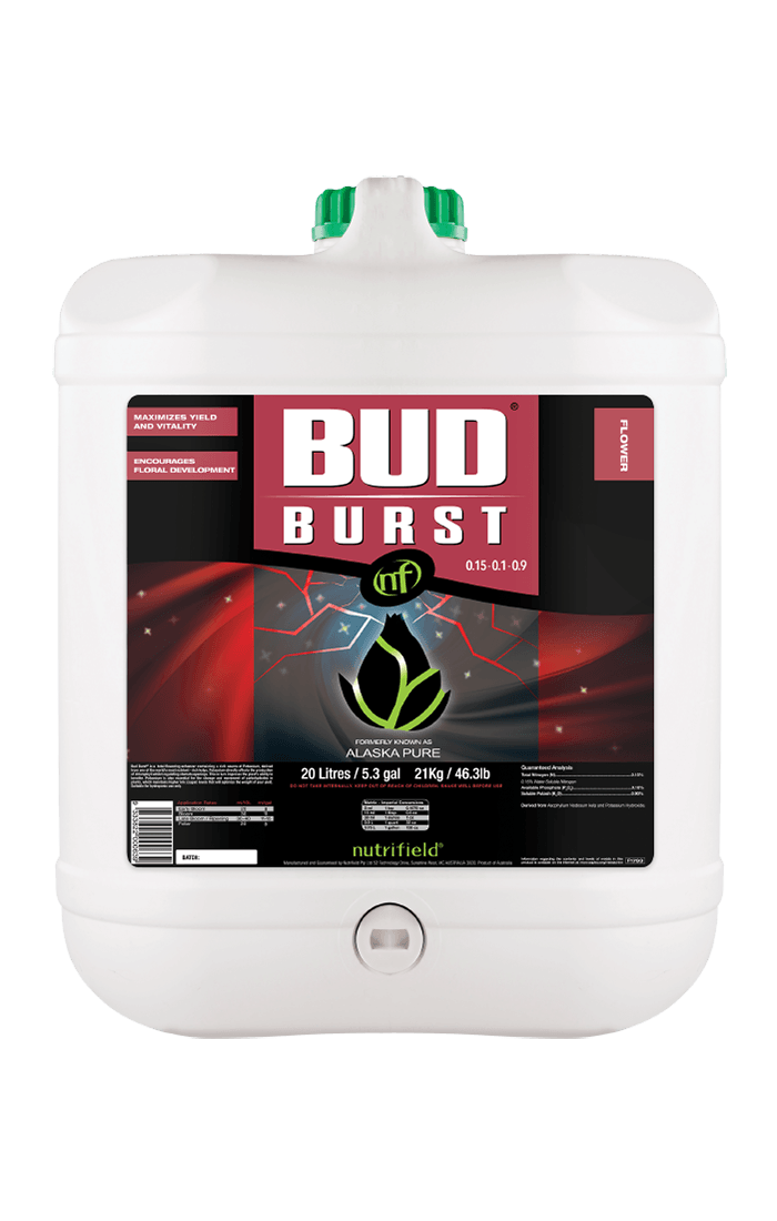 Bud Burst
