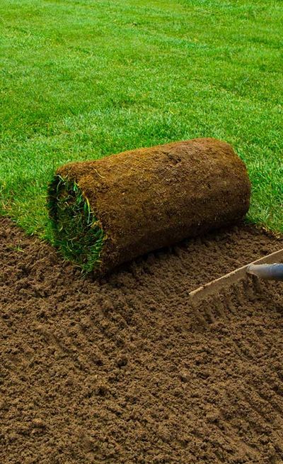 Grass raking the soil — Testimonials in Townsville, QLD