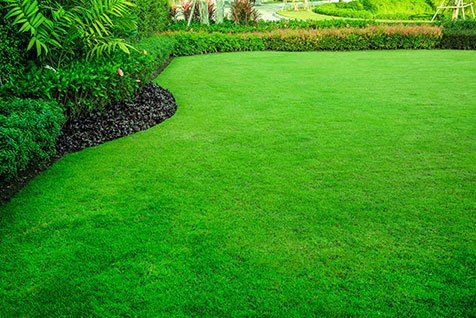 Well mowed grass and garden — Testimonials in Townsville, QLD