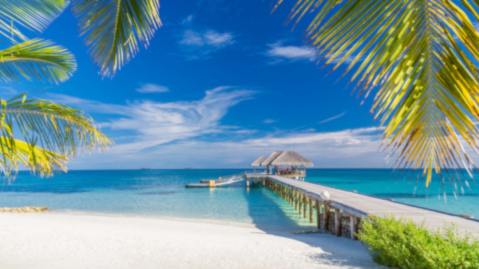 A tropical beach with a pier and palm trees in the foreground.