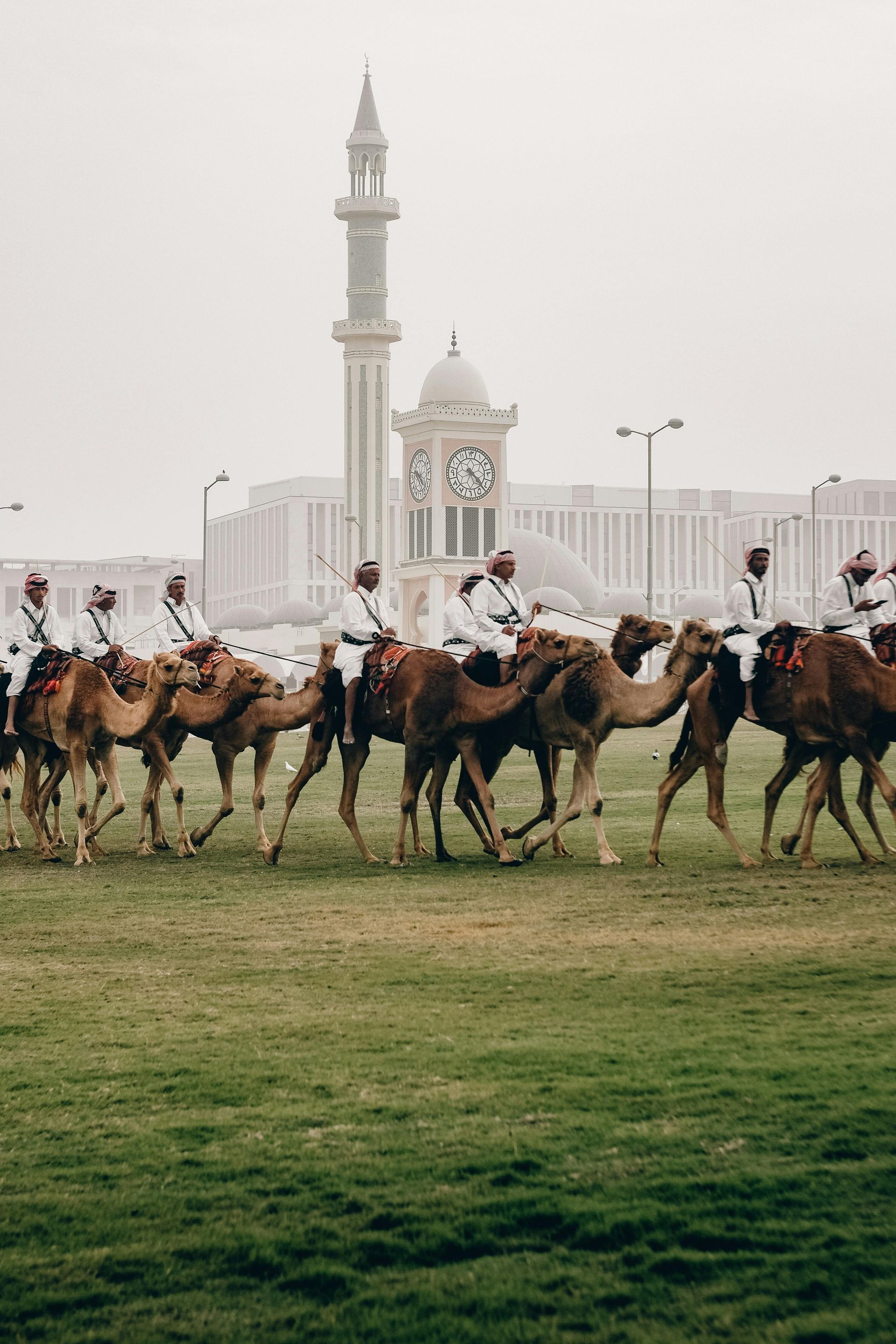A group of men are riding camels in a field with a clock tower in the background.