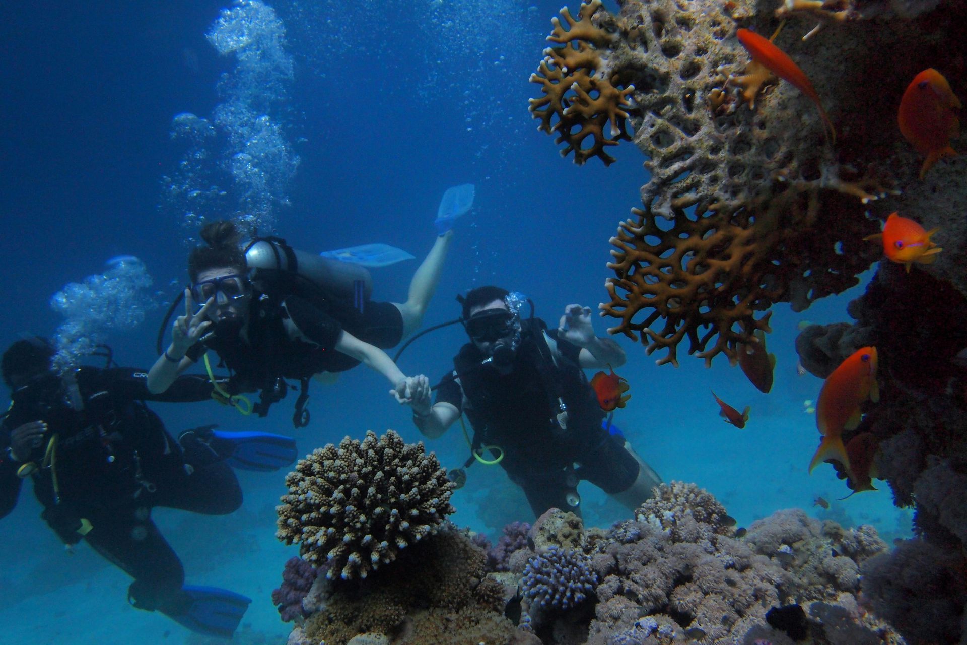 A group of scuba divers are swimming in the ocean near a coral reef.