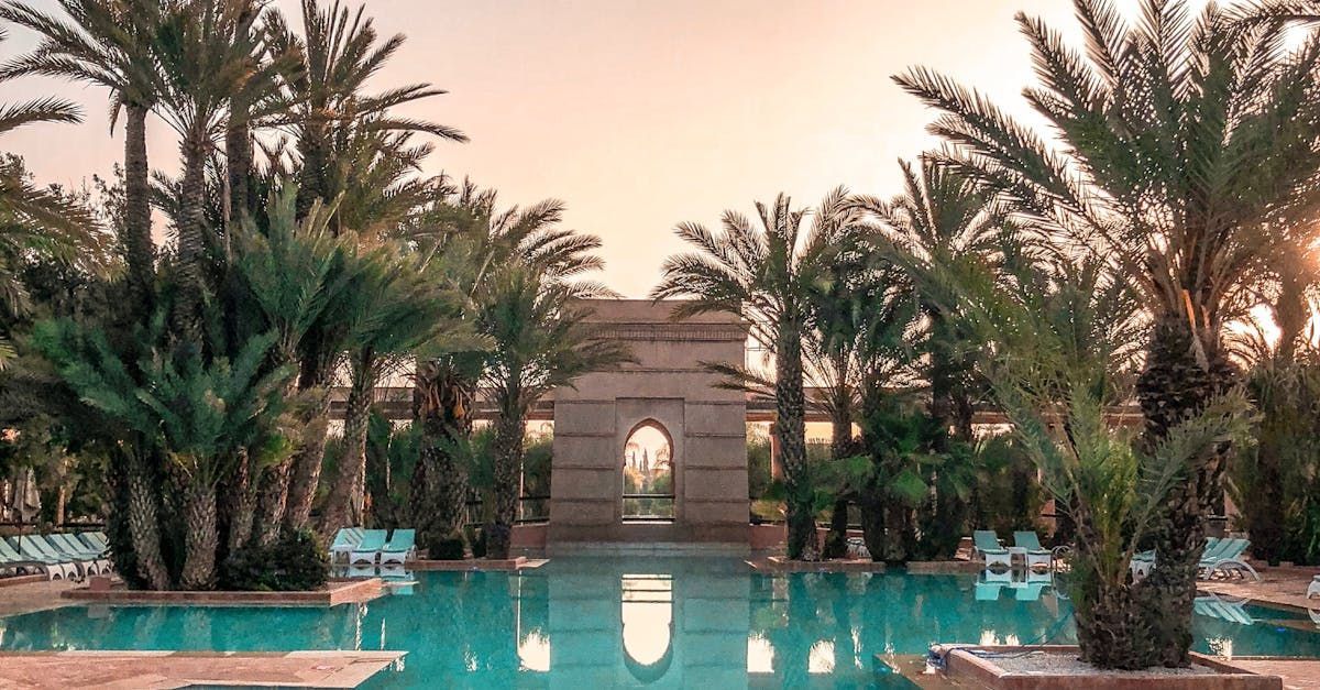A large swimming pool surrounded by palm trees and a building.