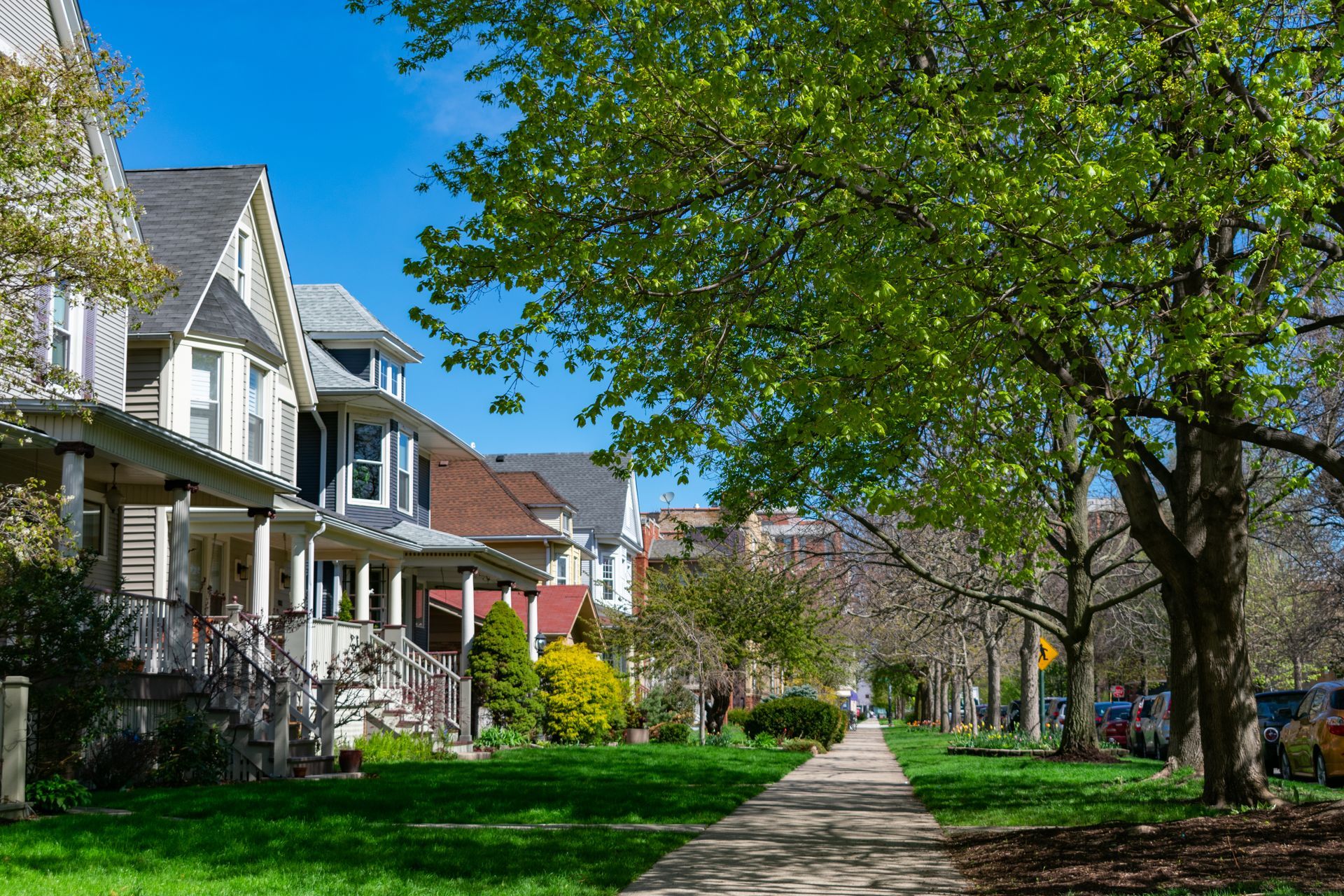 A row of houses on a sunny day with trees on the sidewalk.