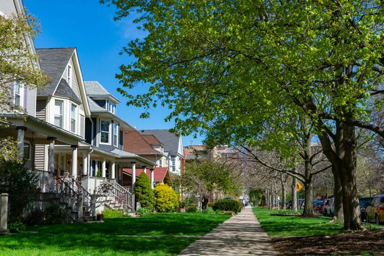 A row of houses on a sunny day with trees on the sidewalk.