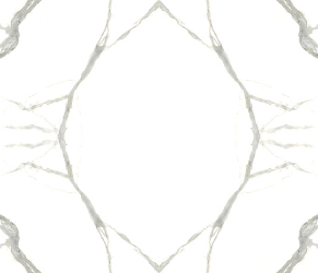 Calacatta Michelangelo Soft Touch Book Match