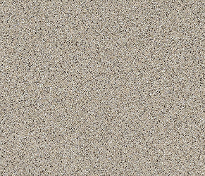 Chicory Cream Melange Photo