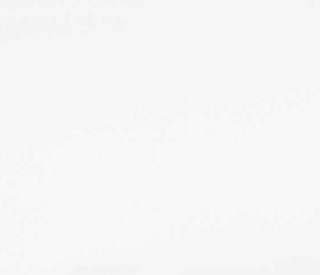 Luminous White photo