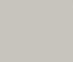 Pearl Gray Solid Surface Corian