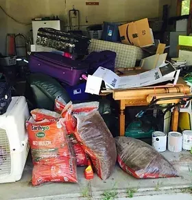 A pile of luggage and a bag of earthys dog food