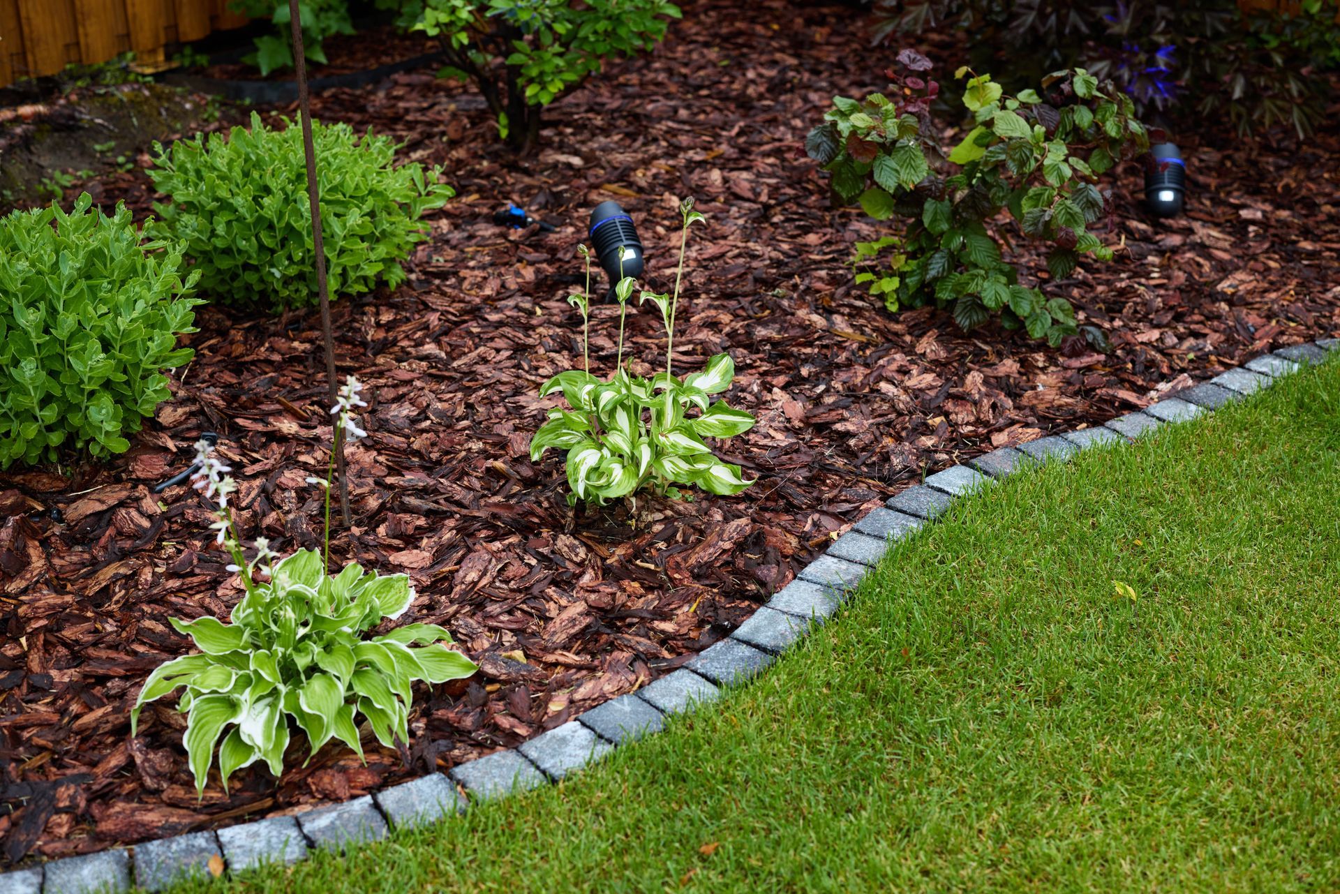 Garden bed with plants and mulch, bordered by gray stones and green grass.