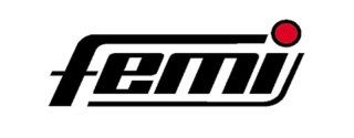 Logo Femi