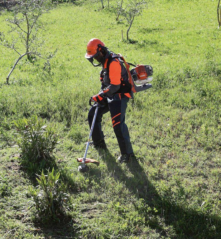 macchinario per giardinaggio