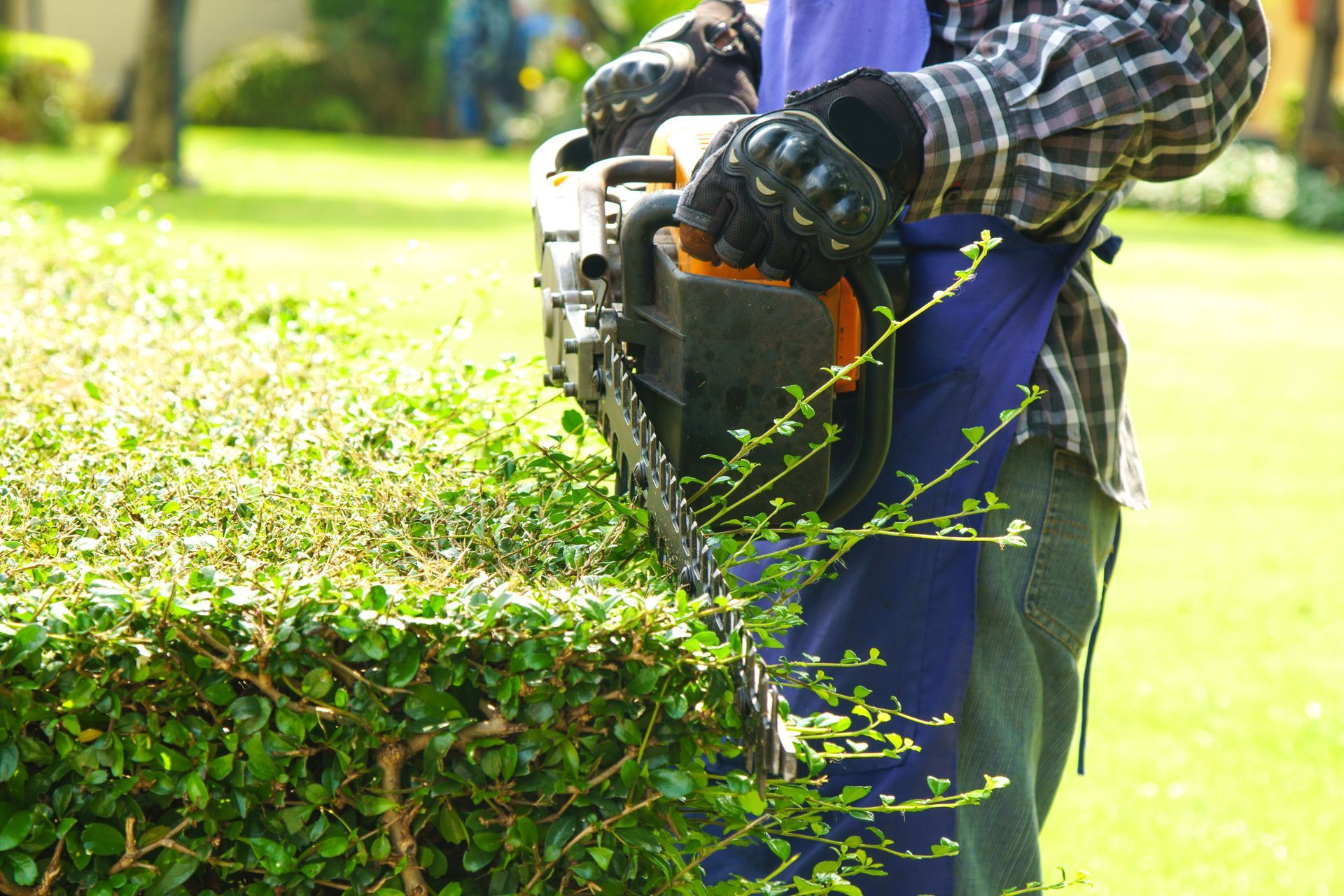 A gardener is trimming branches.